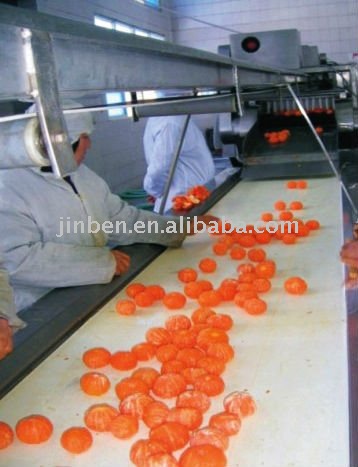 Orange peeling machine