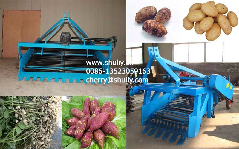 peanut and sweet potato underground rhizome crops harvester run by with tractor and walking tractor 0086-13523059163