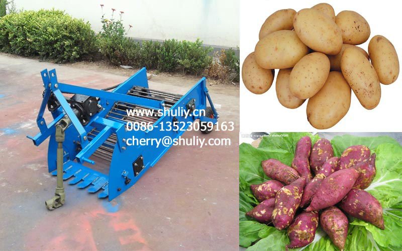 potato/sweet potato harvester SLPH-2 (0086-13523059163)