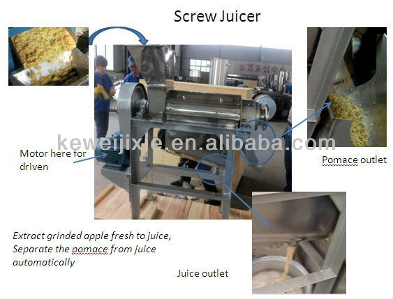 Professional manufacturer of Screw juicer