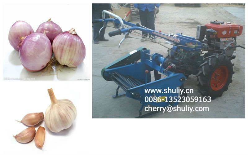 run by with walking tractor 500-600 working width onion and garlic harvester 0086-13523059163