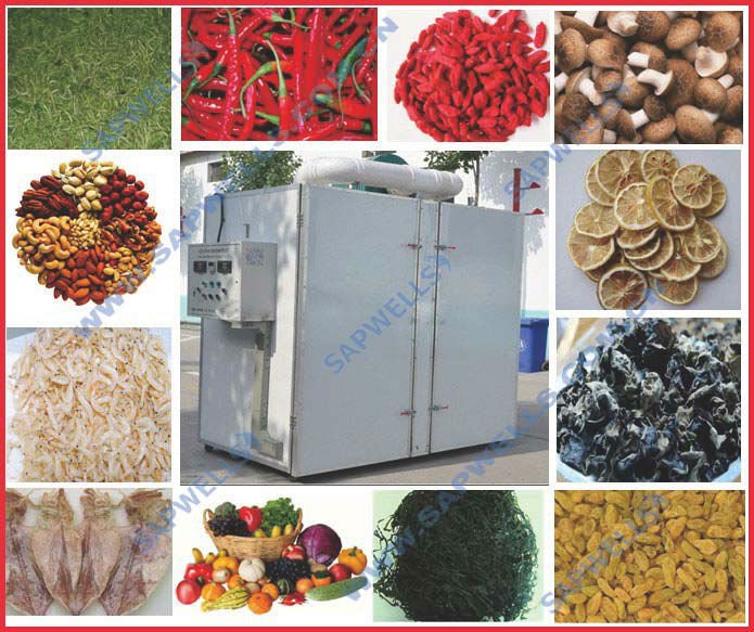 Seeds Drying Equipment