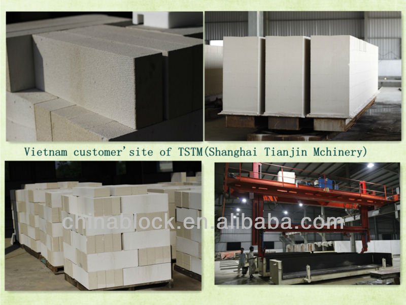 SHANGHAI TIANJIN professional aac block production line AAC block