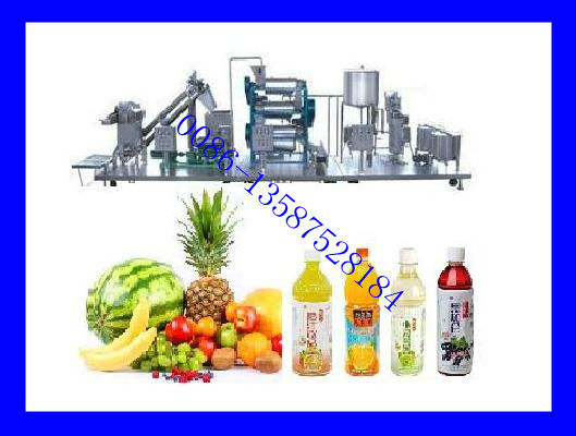 Small Scale Fruit Juice Making Machine (hot sale)