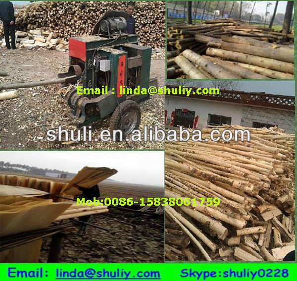 Small type Wood debarker machine which has proved by CE and ISO/wood peeling machine//0086--15838061759