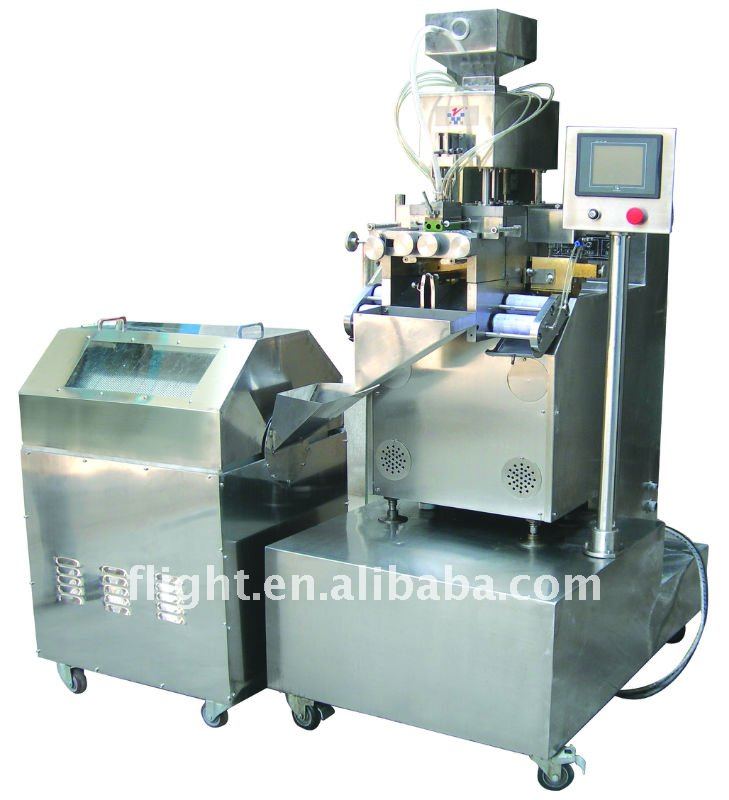 Soft gel capsule machine RJWJ-100