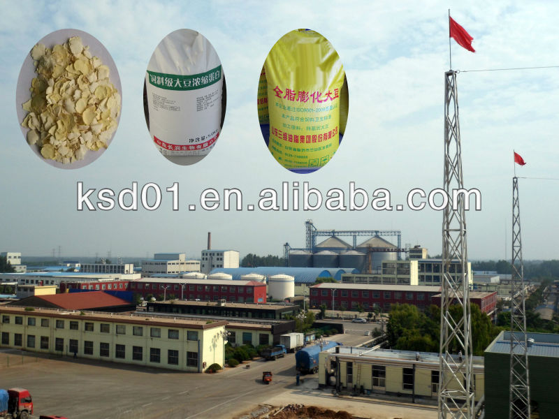 Soybean Protein (SPC/SPI)Machines