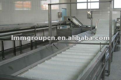 stainless steel belt conveyor system