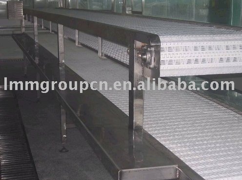 stainless steel food belt conveyor system