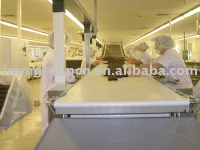 stainless steel mesh food belt conveyor system