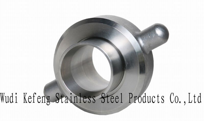 stainless steel union