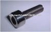 titanium bolt