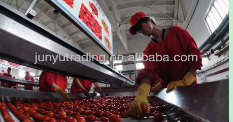 tomato paste making machine