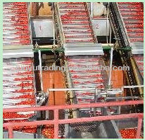 tomato paste processing machine