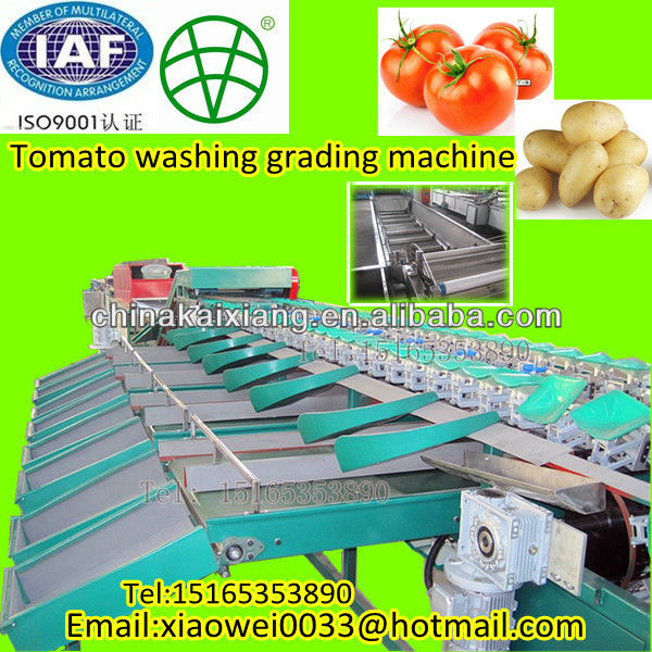 tomato potato cleaning drying and grading machine