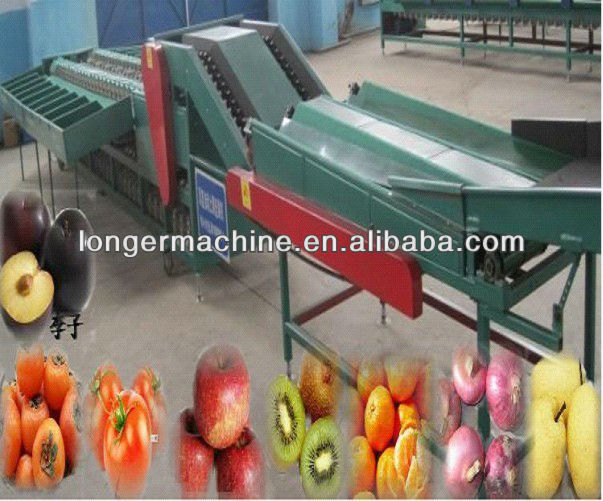 Tomatoes Fruit Grading Machine|High efficiency Fruit Sorting machine|Hot sell Fruit Grinder