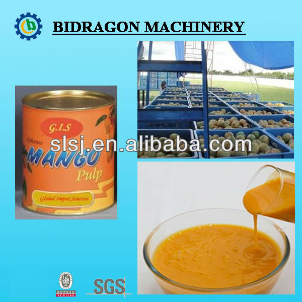 Turnkey Mango Pulp Plant