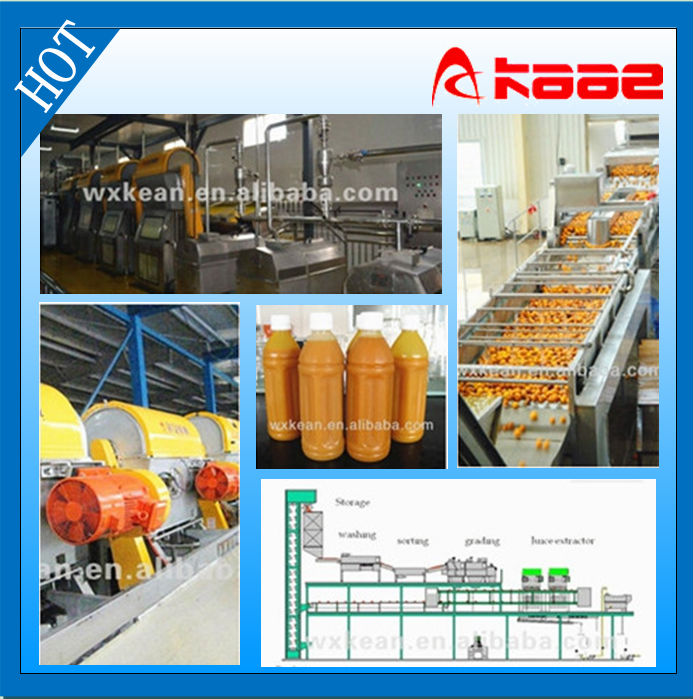 Turnkey project industrial citrus juice production line