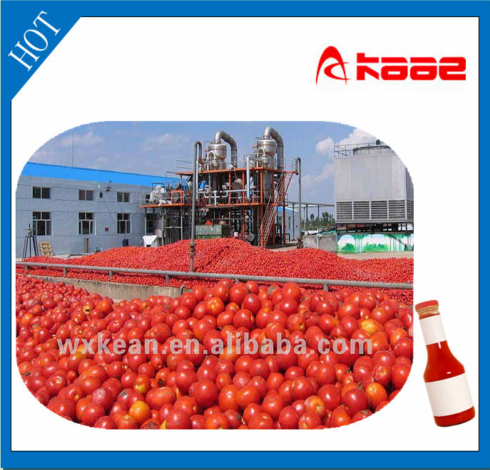 Turnkey project tomato paste production line