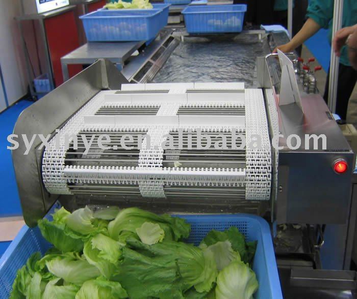 TX-II vegetable pretreatment blanching processing line