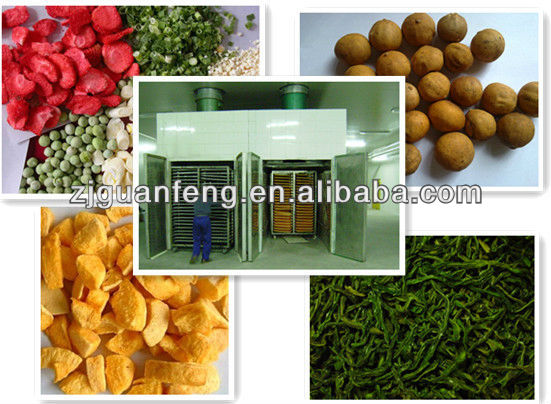 vegetable and fruit drying machine for sale