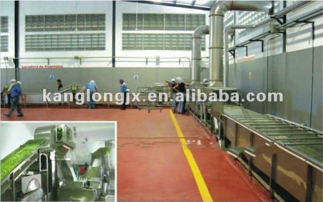 vegetables and fruit Freezing line