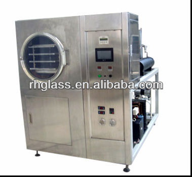 vegetables and fruit laboratory lyophilizer JDG-1