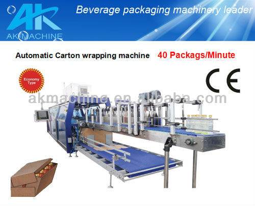 Wrap Around Carton Packing Machine