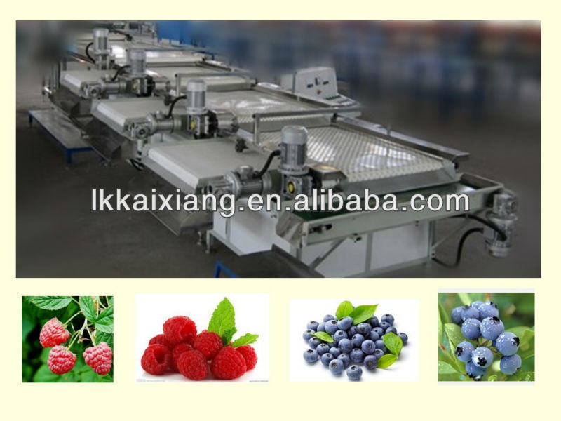 XGJ-DXLM Kaixiang Blueberry grading machine