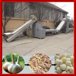 0086-13592420081 Automatic Dry Garlic Processing Line