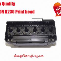 100% Brandnew Print head R230 for Epson r230 print head