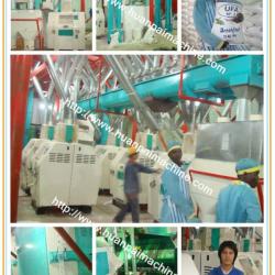 100 ton maize flour making machine/corn machine