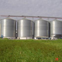 1000ton Steel Silo For Sale Passed ISO9001&BV&CE Certification