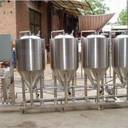 100L draft beer brewing fermentor for family drinking