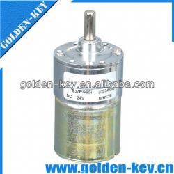 12v 20rpm dc worm gear motor