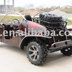 1300cc Buggy