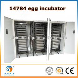 14784 eggs incubator thermostat ZYC-4&industrial incubators for hatching eggs