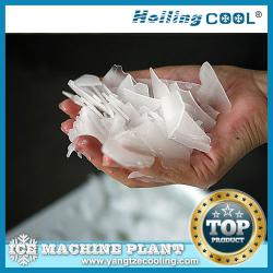 15Tons/Day Large Flake Ice Machine Food processing