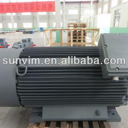 195KW Marine Three Phase Induction Motor