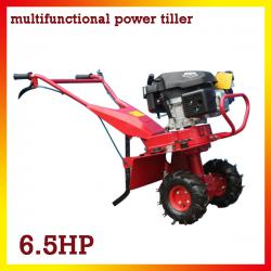 1WG-4.2-LS-L 6.5HP Walking Behind Power Tiller