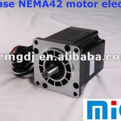 2 phase NEMA42 motor electric