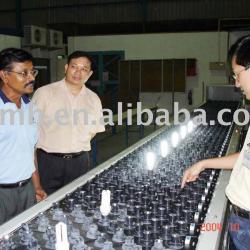 2011, Energy Saving Lamp Aging Line