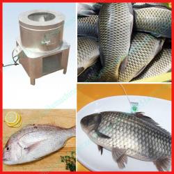 2013 best price fish scales removing machine/fish scale peeling machine/008615514529363