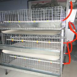 2013 hot-sell H type broiler chicken cage(Welcome to visit my factory)