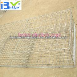 2013 hot-sell H type cages for broiler chicken,broiler chicken cage