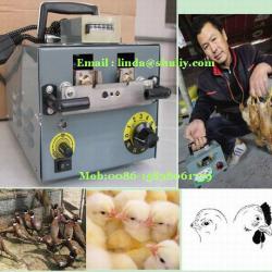 2013 hot selling Chicken Debeaking Machine/ best price electricity Chicken beak cutting machine/ 0086-15838061759