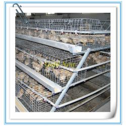 2013 new design automatic pullet chicken cage