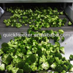 2013 the most popular quick freezing machine mesh belt tunnel freezer