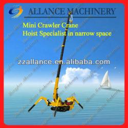 29 Small Size Telescopic Jib Crane Advanced