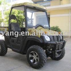 300CC UTV (2WD)